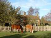Bed and Breakfast - Bramshaw Forge in Bramshaw, Hampshire