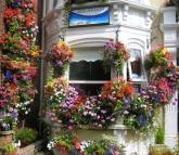 Bed and Breakfast: Birchwood Guest House
